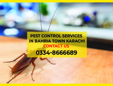 Pest Control Services In Bahria Town Karachi