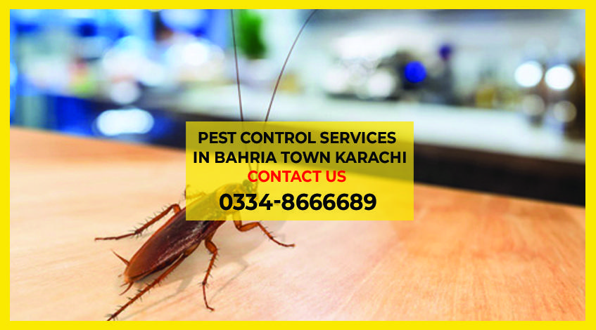 Pest Control Services In Bahria Town Karachi